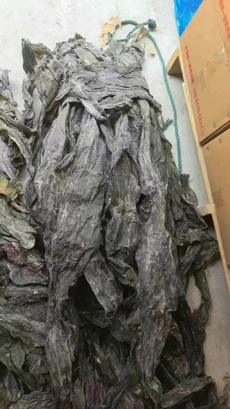 福建海带皮，山东海带皮，一件20斤，仓库海量现货，批发
