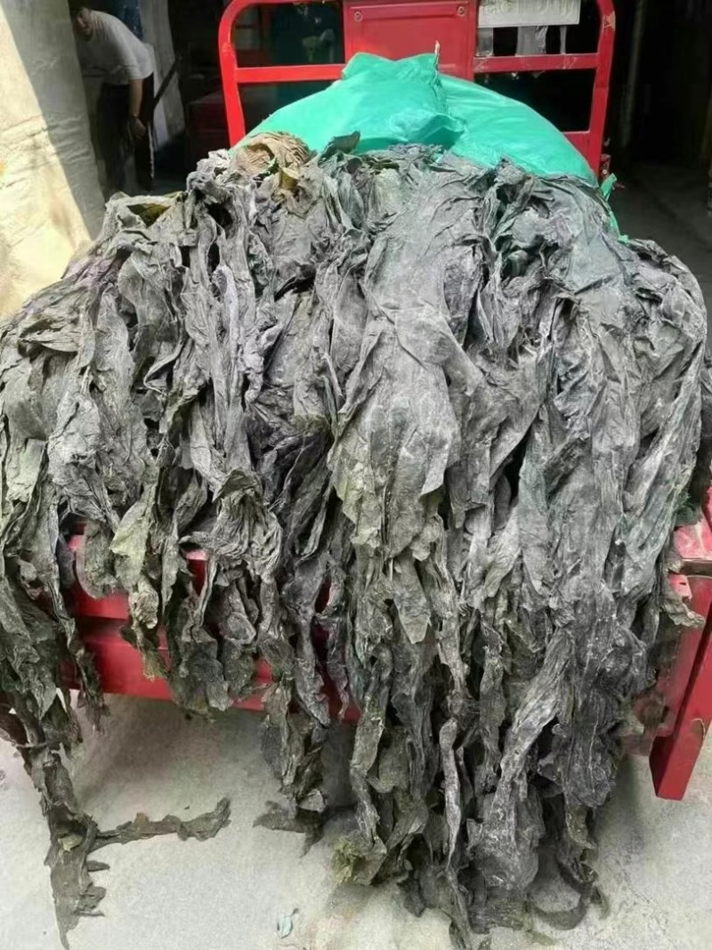 福建海带皮，山东海带皮，一件20斤，仓库海量现货，批发