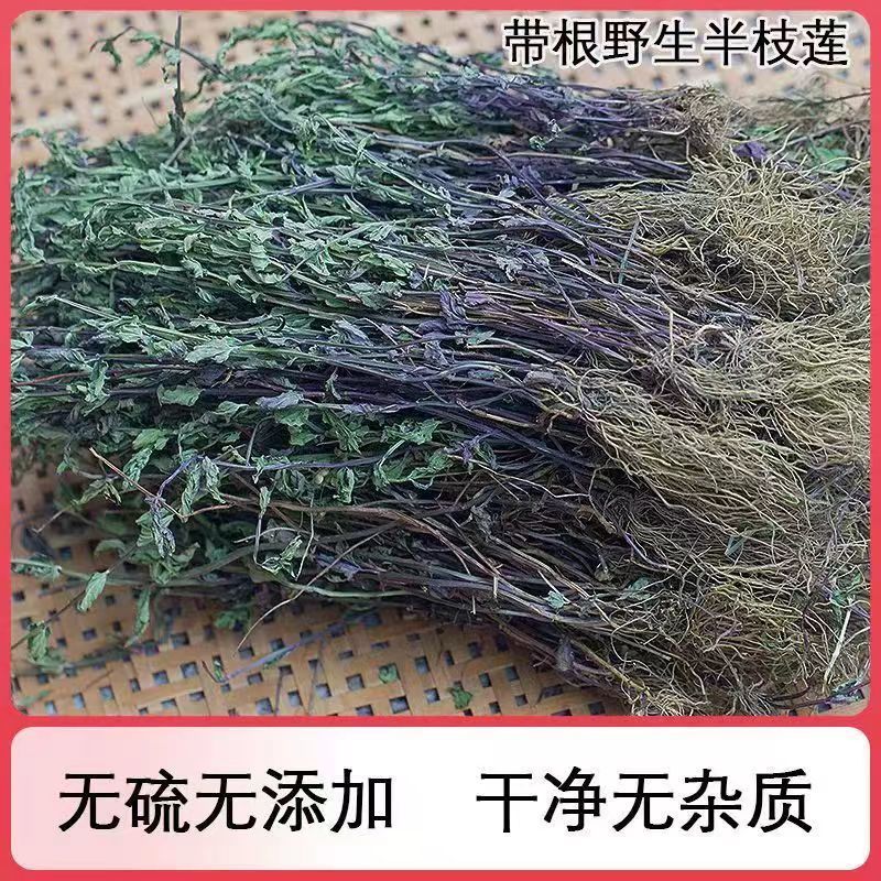 短杆带根全棵半枝莲色青味浓干净一手货源当年新货