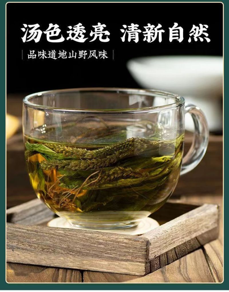 车前草新货带根全棵野生现挖晒干扎把带根全棵大量一手货源