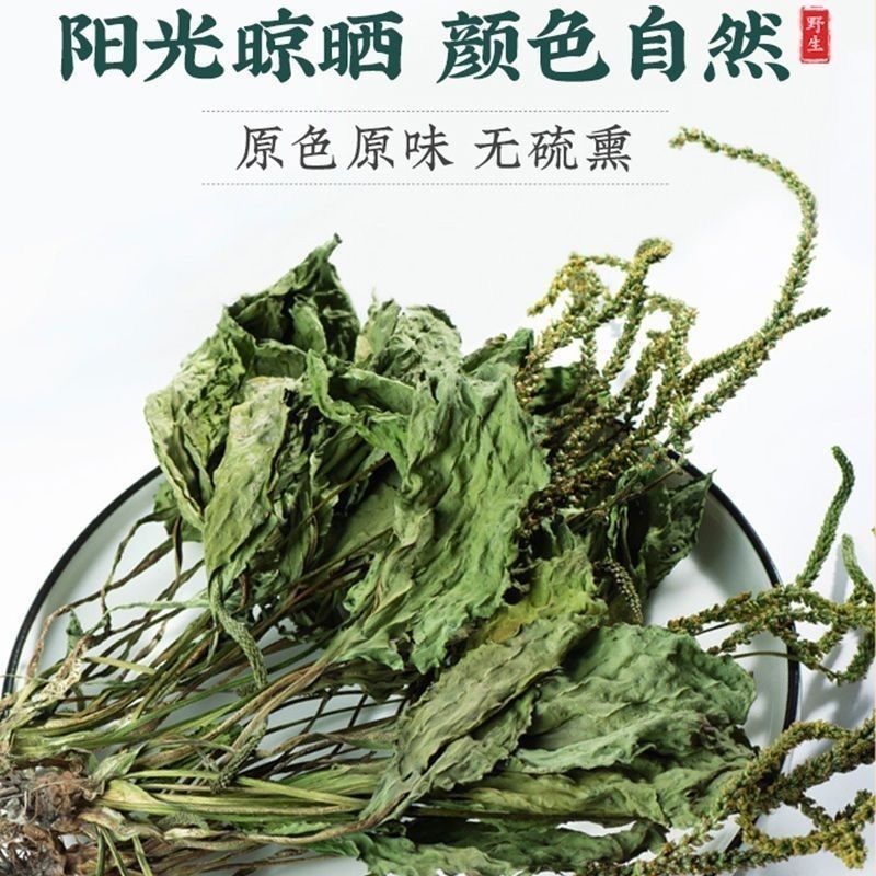 车前草新货带根全棵野生现挖晒干扎把带根全棵大量一手货源
