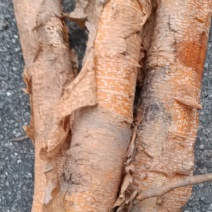 精品穿破石