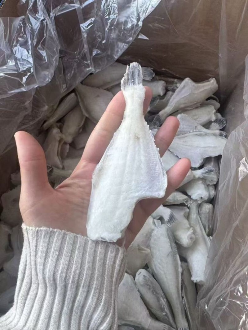三去马面鱼