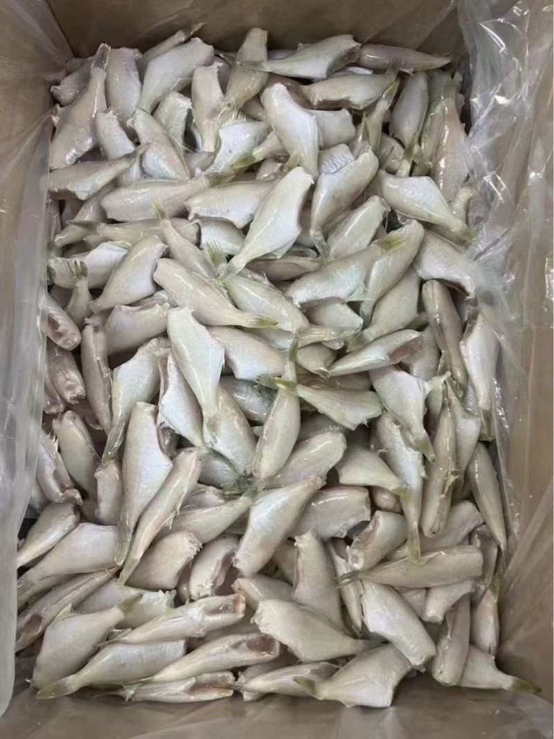 三去马面鱼