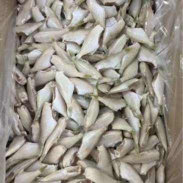 三去马面鱼