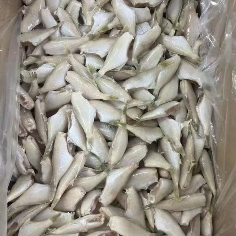 三去马面鱼