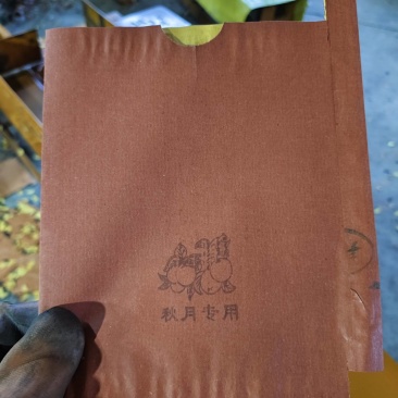 秋月梨袋