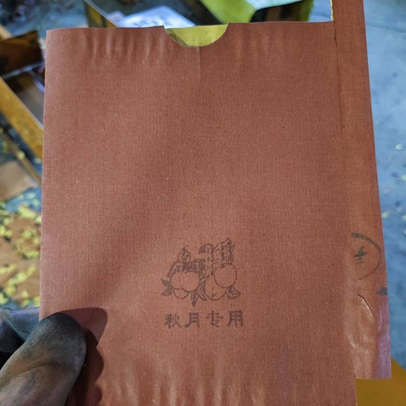 秋月梨袋