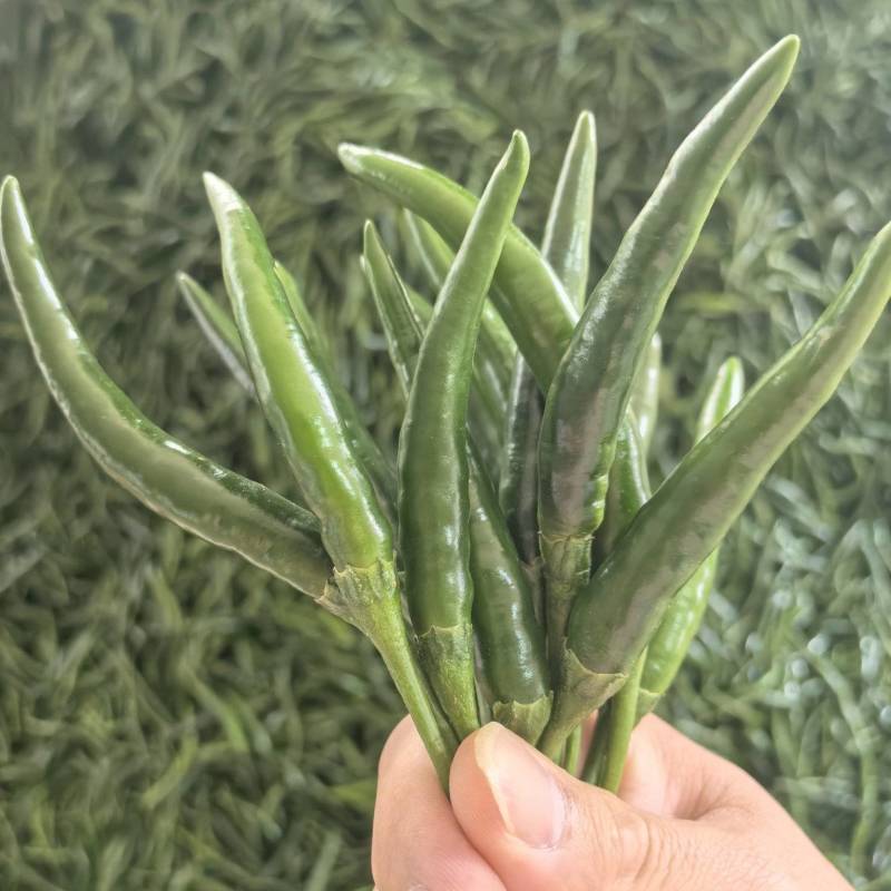 小米椒，小青米椒，大量上市，支持市场，平台，工厂！！！