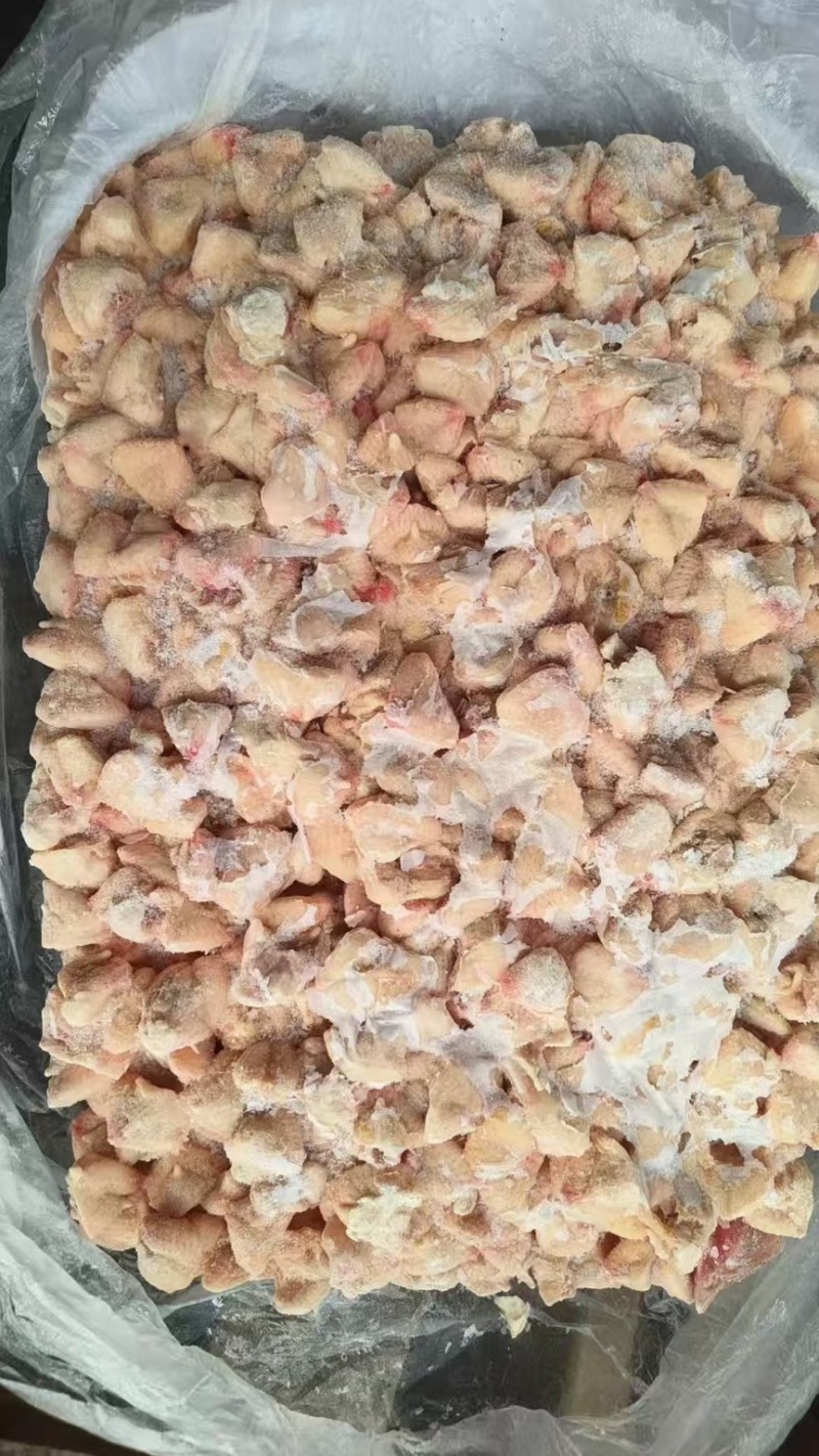 鸡屁股，鲜货屠宰场大肉食鸡割的！只做美味佳肴