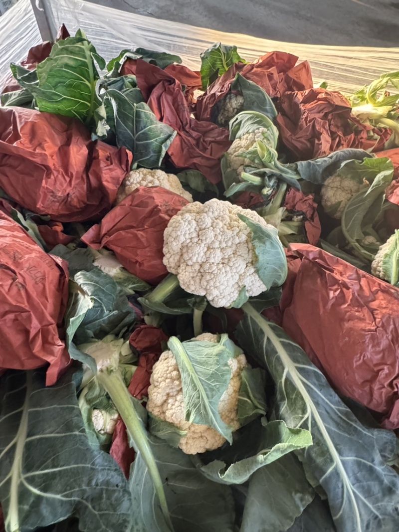 精品花菜