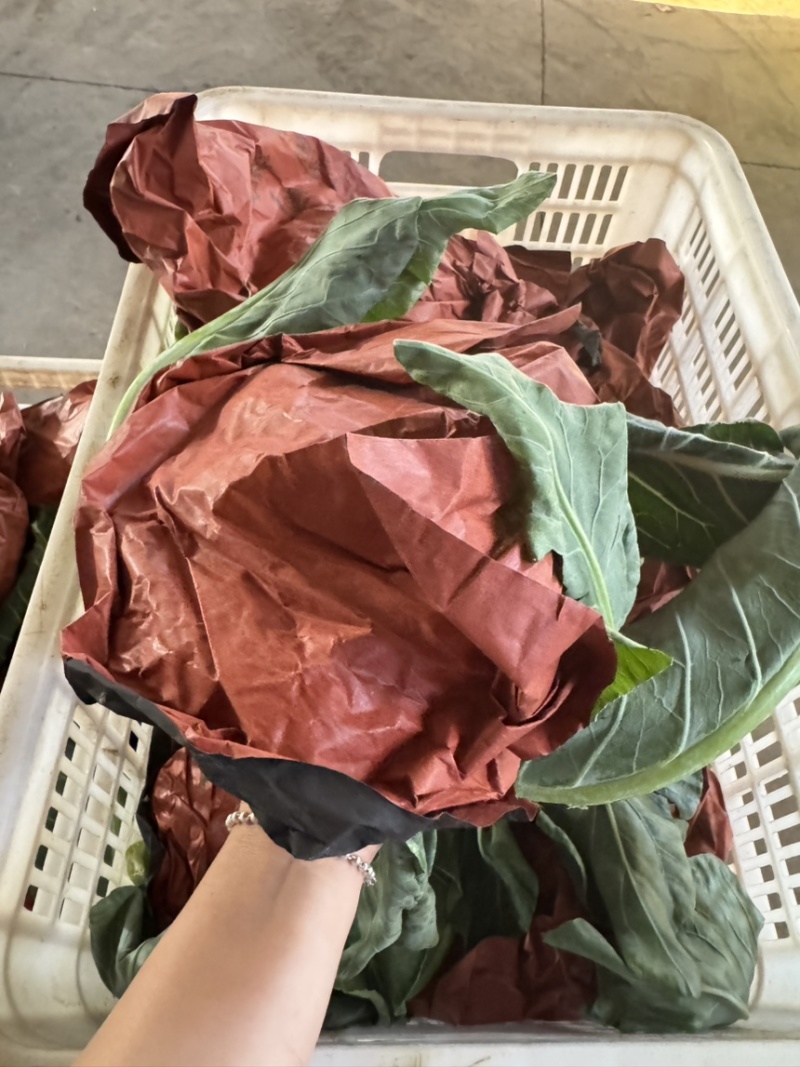 精品花菜