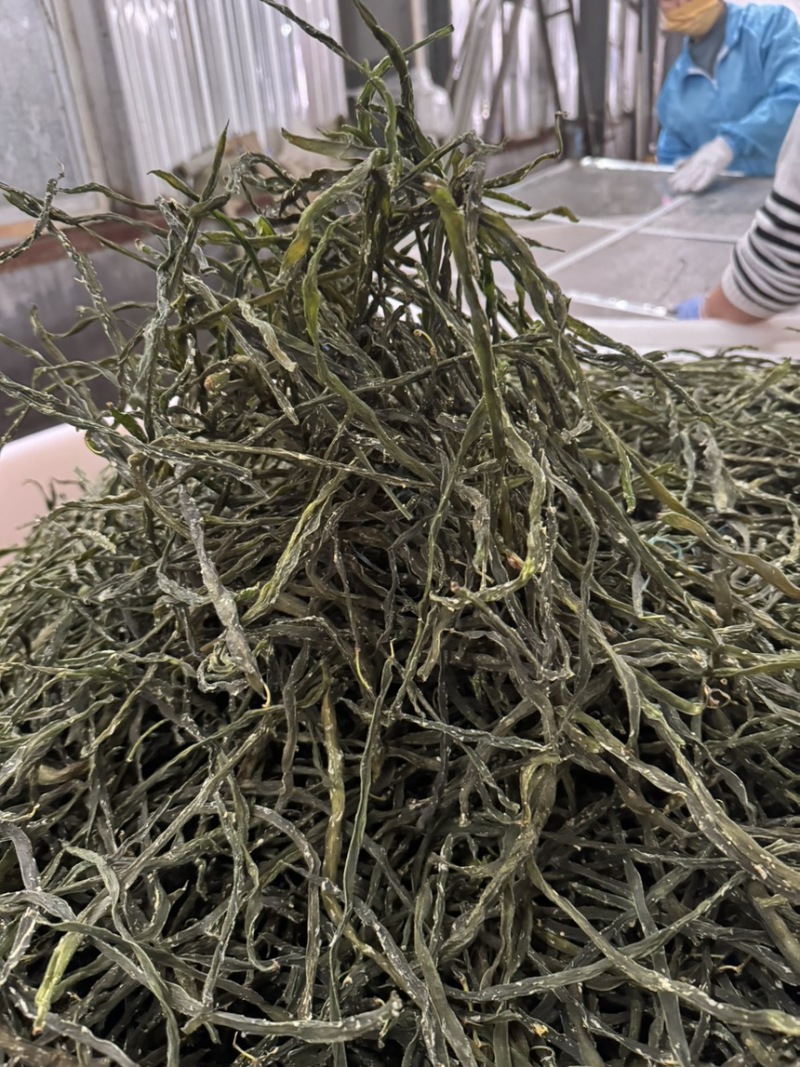 精品架豆王诚信经营全国发货！