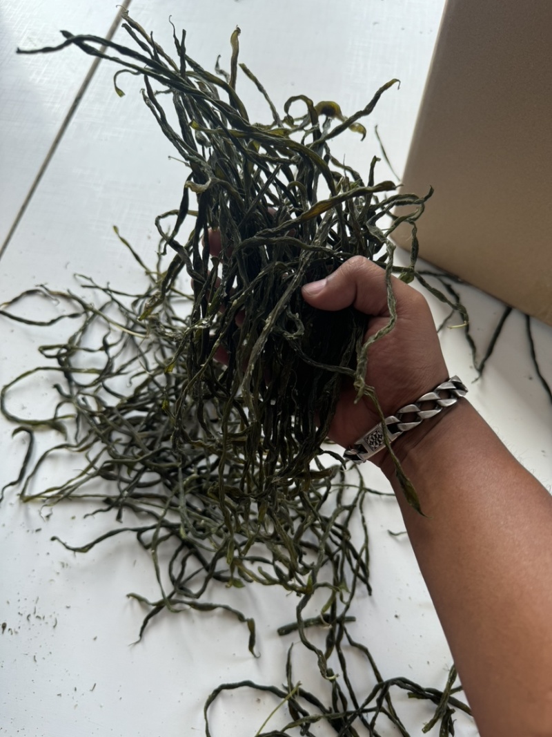 精品架豆王诚信经营全国发货！