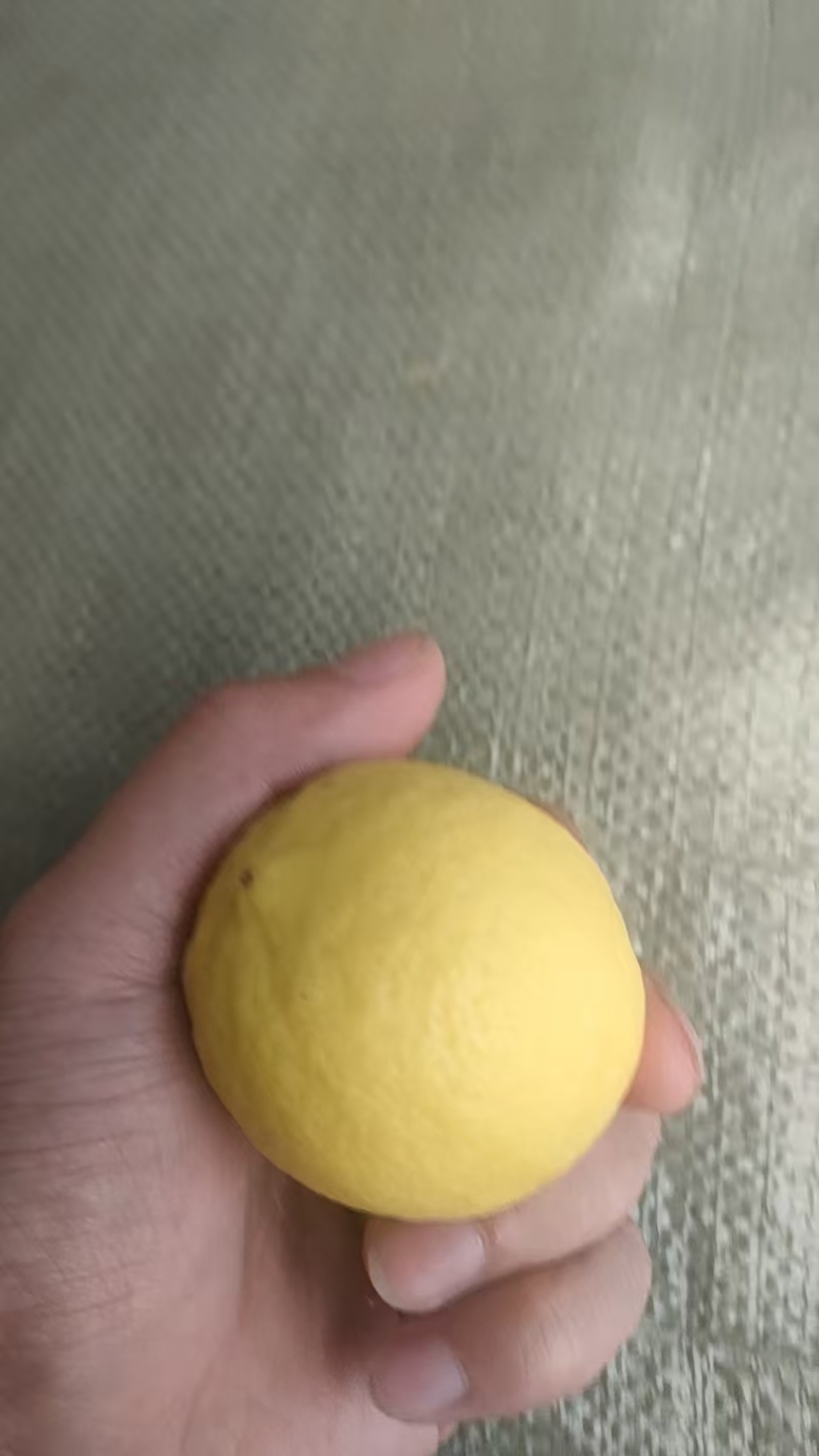 安岳黄柠檬一件代发