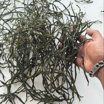 精品架豆王诚信经营全国发货！