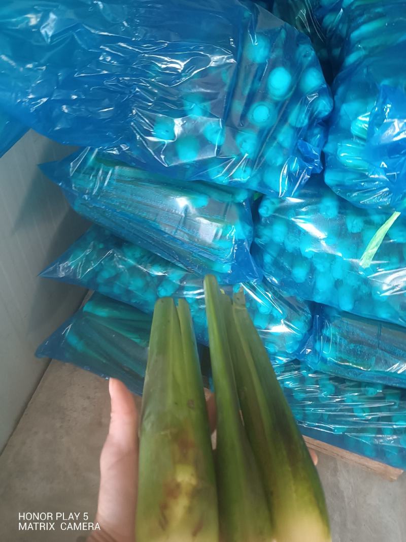 茭白