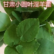 甘肃纯野生小圆叶淫羊藿高含量假一赔十
