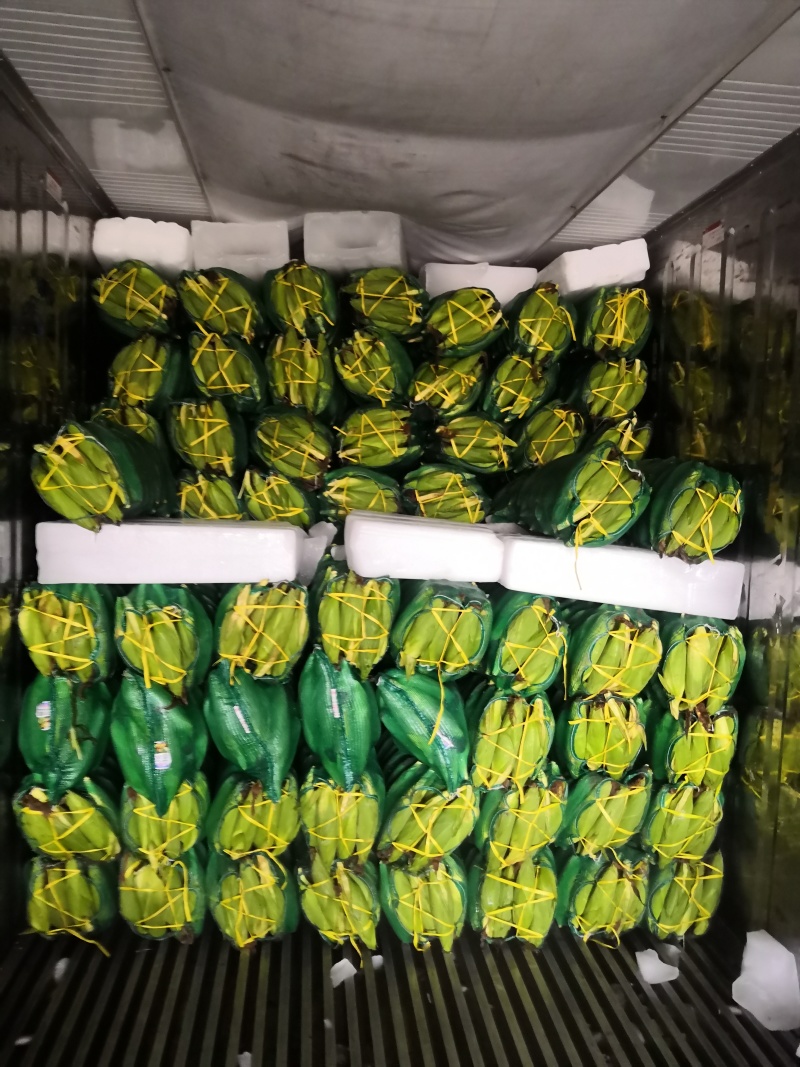 水果甜玉米