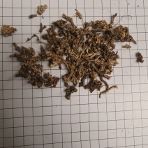 细辛根统货批发支持代发1000克
