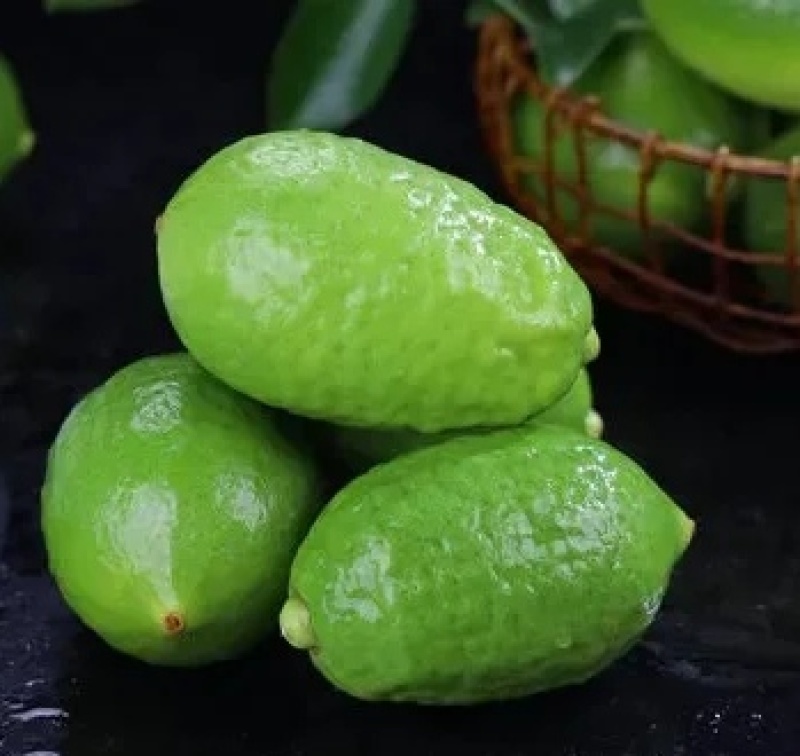 广东一手香水柠檬，货源充足