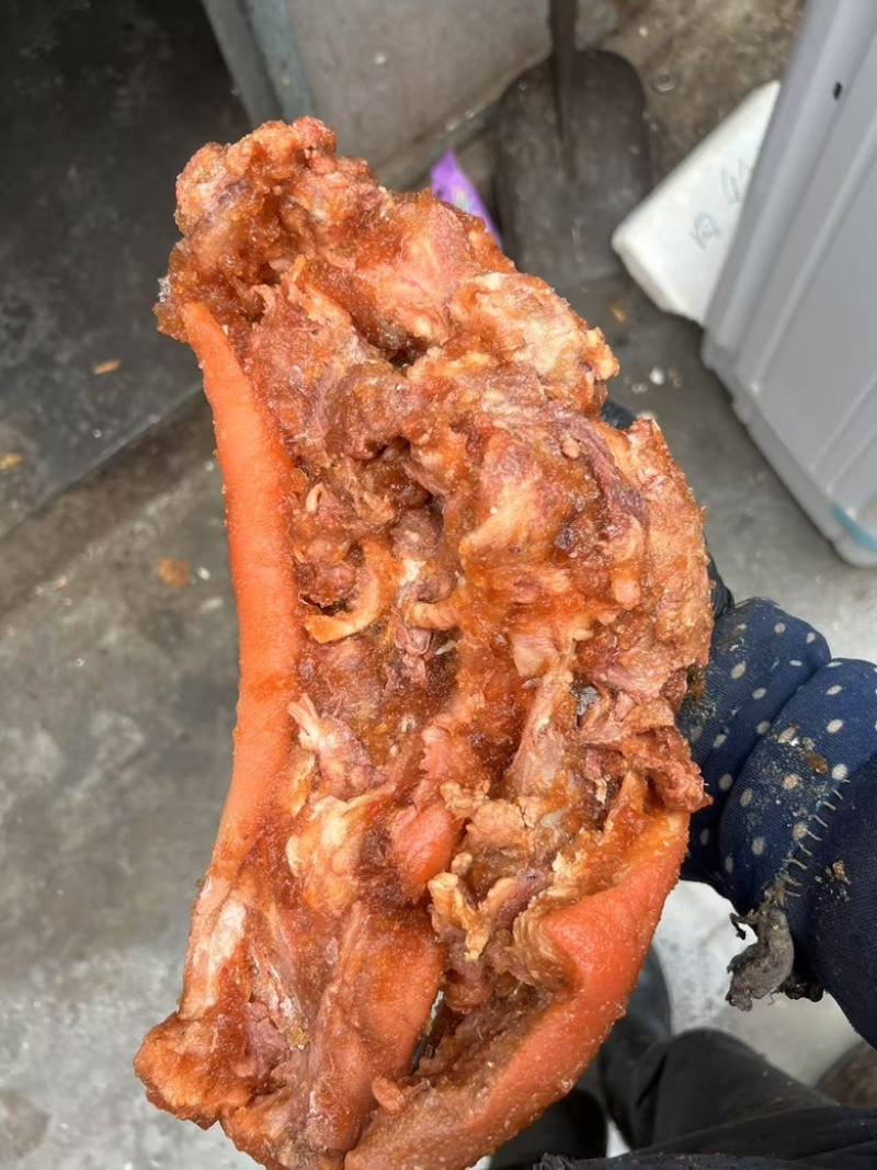 博山酱猪头肉一口酱猪头肉香山东泰安泰山区工厂直发