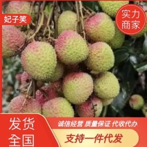 精品妃子笑荔枝市场商超电商产地发货可做一件代发代
