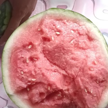 广东清甜西瓜直供，皮薄汁多口感佳，夏日解暑**，现摘现发！