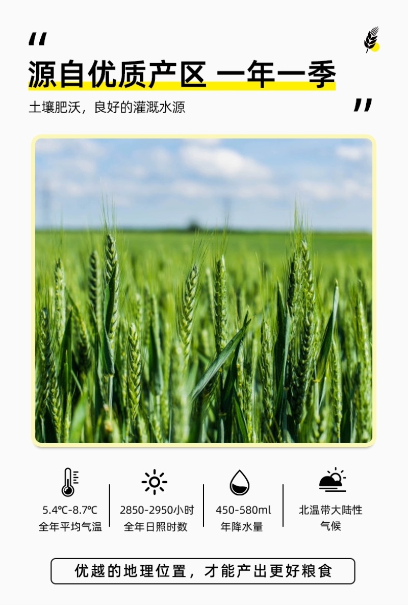 包邮）七色糙米10斤杂粮饭五色糙米低脂主食燕麦米青稞粗粮