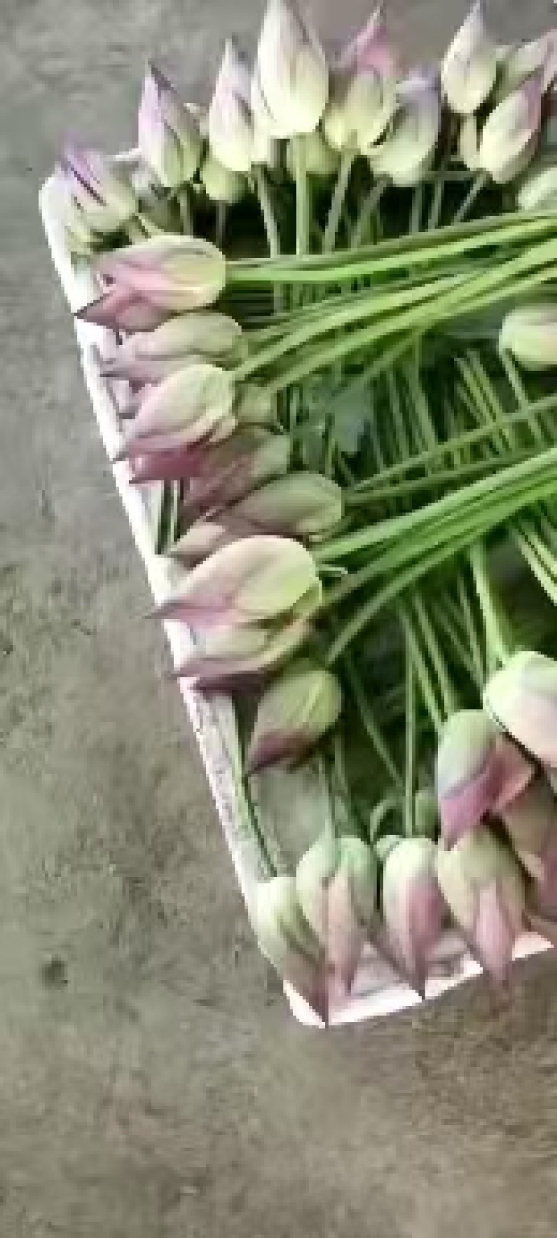 北京新鲜莲蓬大量供应今年新出新鲜水果莲蓬，基地大量直供