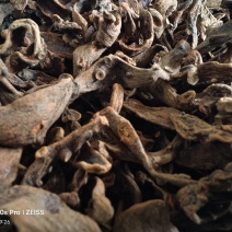 湖南大叶骨碎补全烘干过了两次滚筒去毛干净