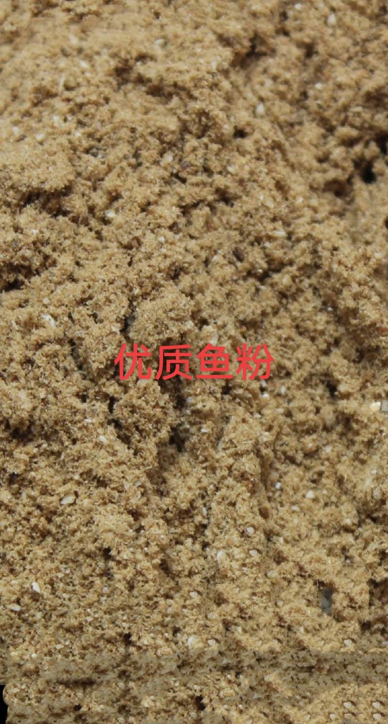 鱼粉，纯鱼制作，蛋白53，优质蛋白质的来源