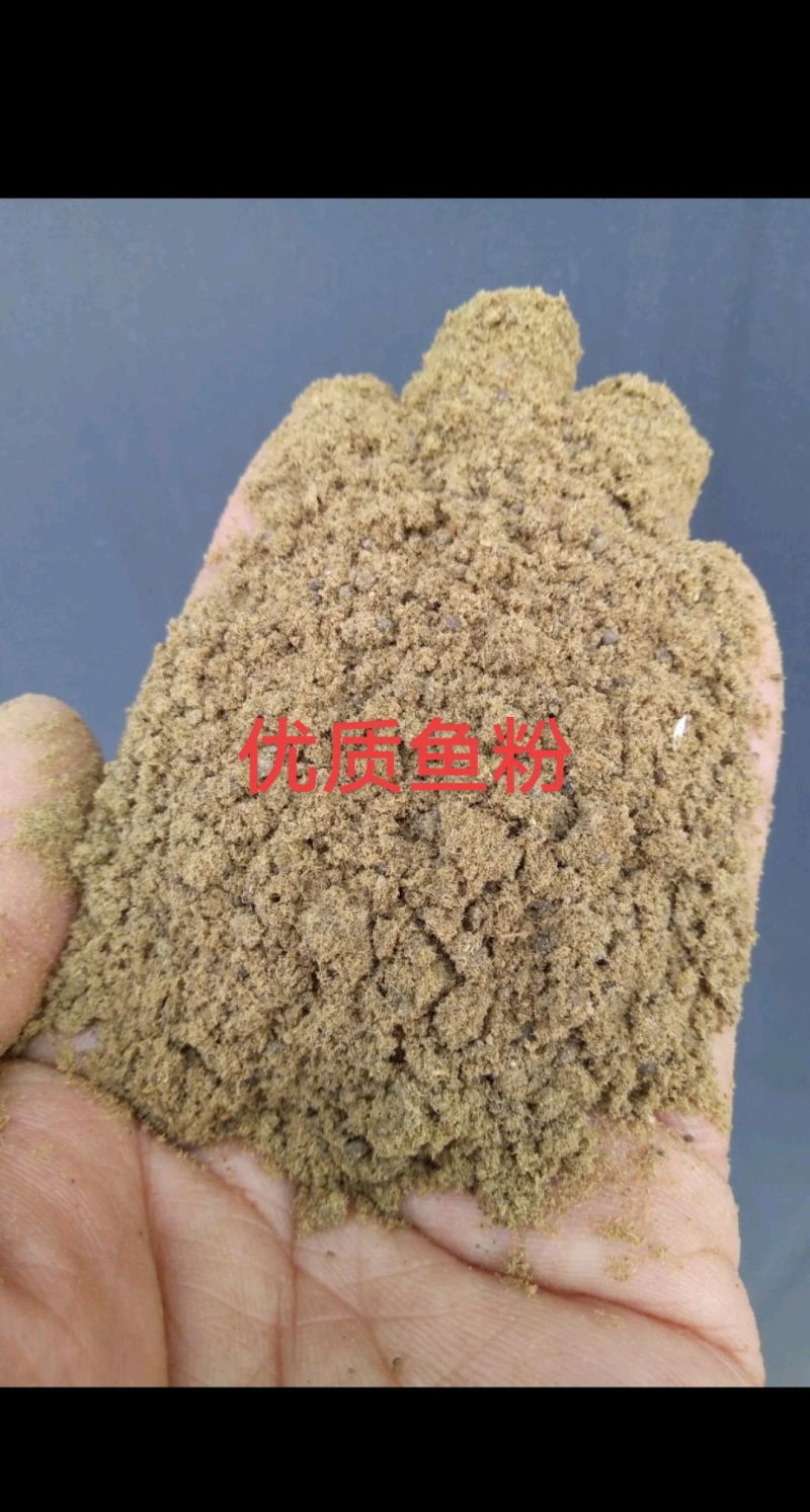 鱼粉，纯鱼制作，蛋白53，优质蛋白质的来源