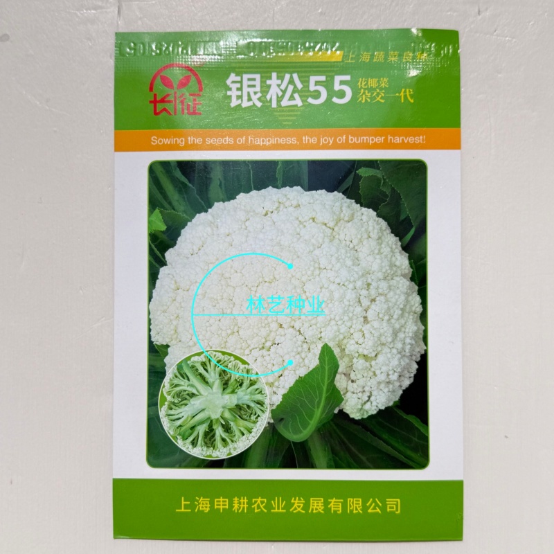 银松65松花菜种子早熟耐湿热65天青梗小米粒松花菜花椰菜