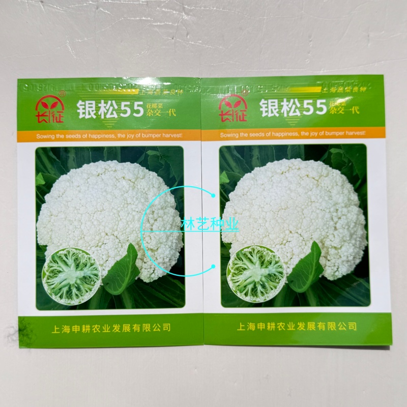 银松65松花菜种子早熟耐湿热65天青梗小米粒松花菜花椰菜