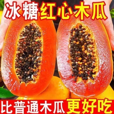 云南新鲜木瓜一件代发3斤五斤9斤