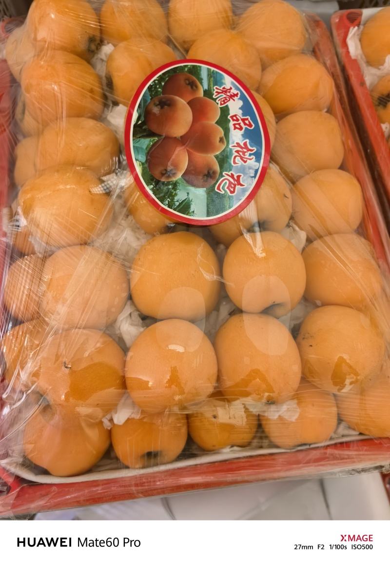 大五星枇杷
