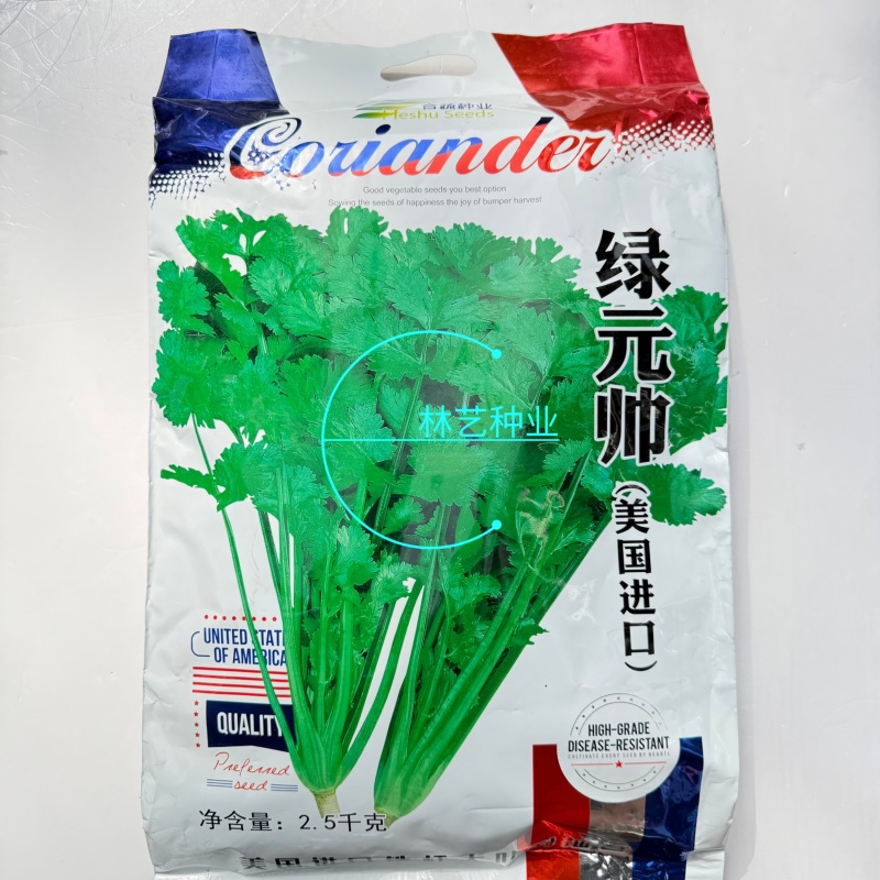 绿元帅美国进口耐热香菜种子四季耐热耐寒铁杆油大叶香菜籽耐