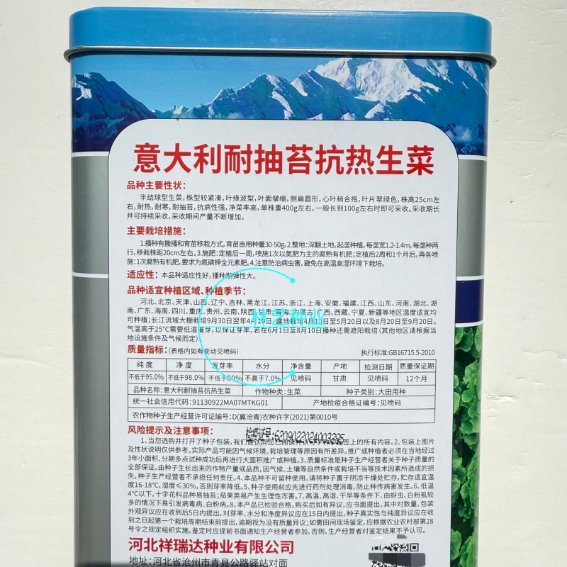 意大利耐抽苔抗热生菜种子耐热耐寒四季种植生菜种子大田基地
