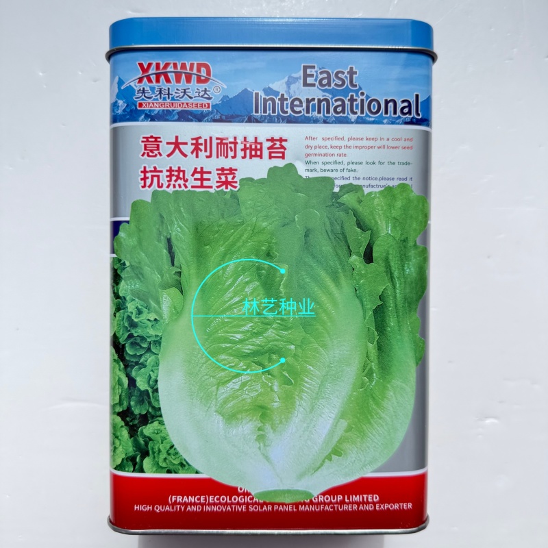 意大利耐抽苔抗热生菜种子耐热耐寒四季种植生菜种子大田基地