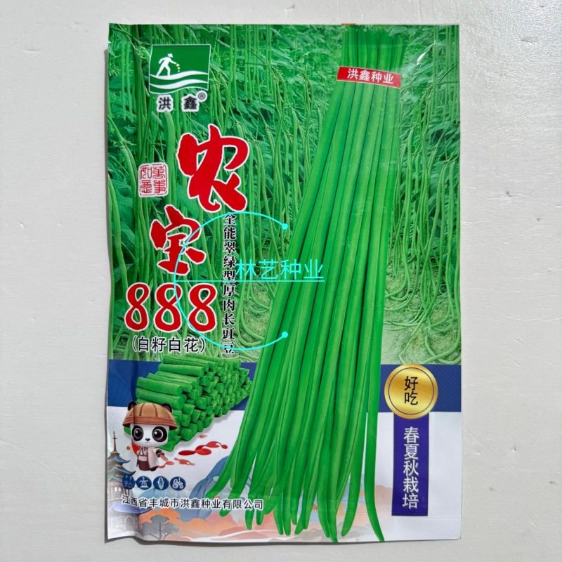 农宝888长豇豆种子高产抗病白籽菜白花翠绿厚肉春夏秋长豆