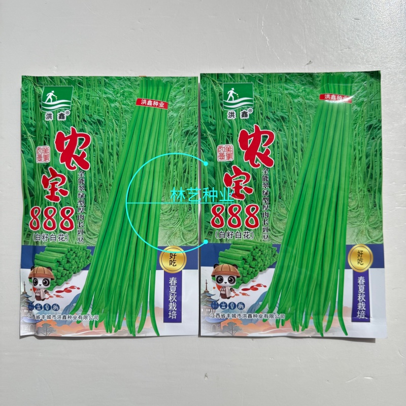农宝888长豇豆种子高产抗病白籽菜白花翠绿厚肉春夏秋长豆