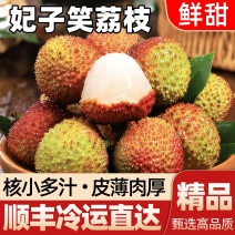 【当天发新鲜妃子笑荔枝顺丰发货新鲜发货】新货
