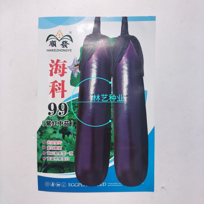 海科99紫红茄种子肉质柔嫩抗病特强颜色靓丽深紫皮产量高