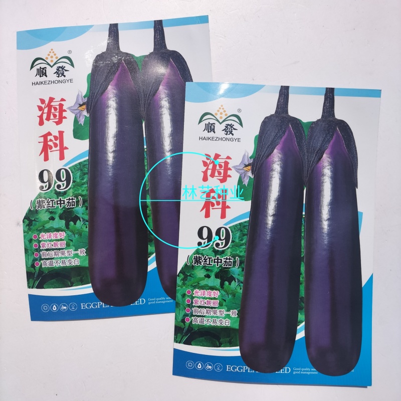 海科99紫红茄种子肉质柔嫩抗病特强颜色靓丽深紫皮产量高