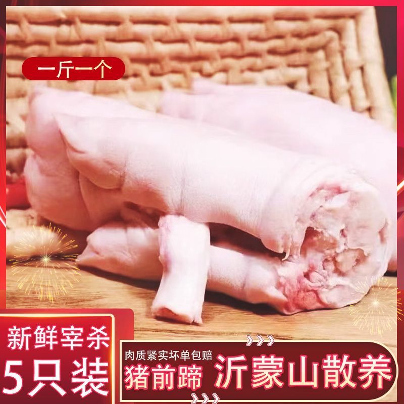 冷鲜生猪蹄猪脚猪手新鲜猪蹄10斤色正无水短的带