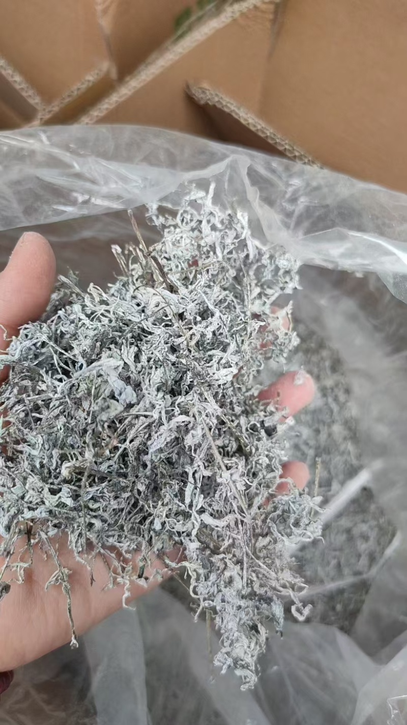 湘西永顺一手莓茶