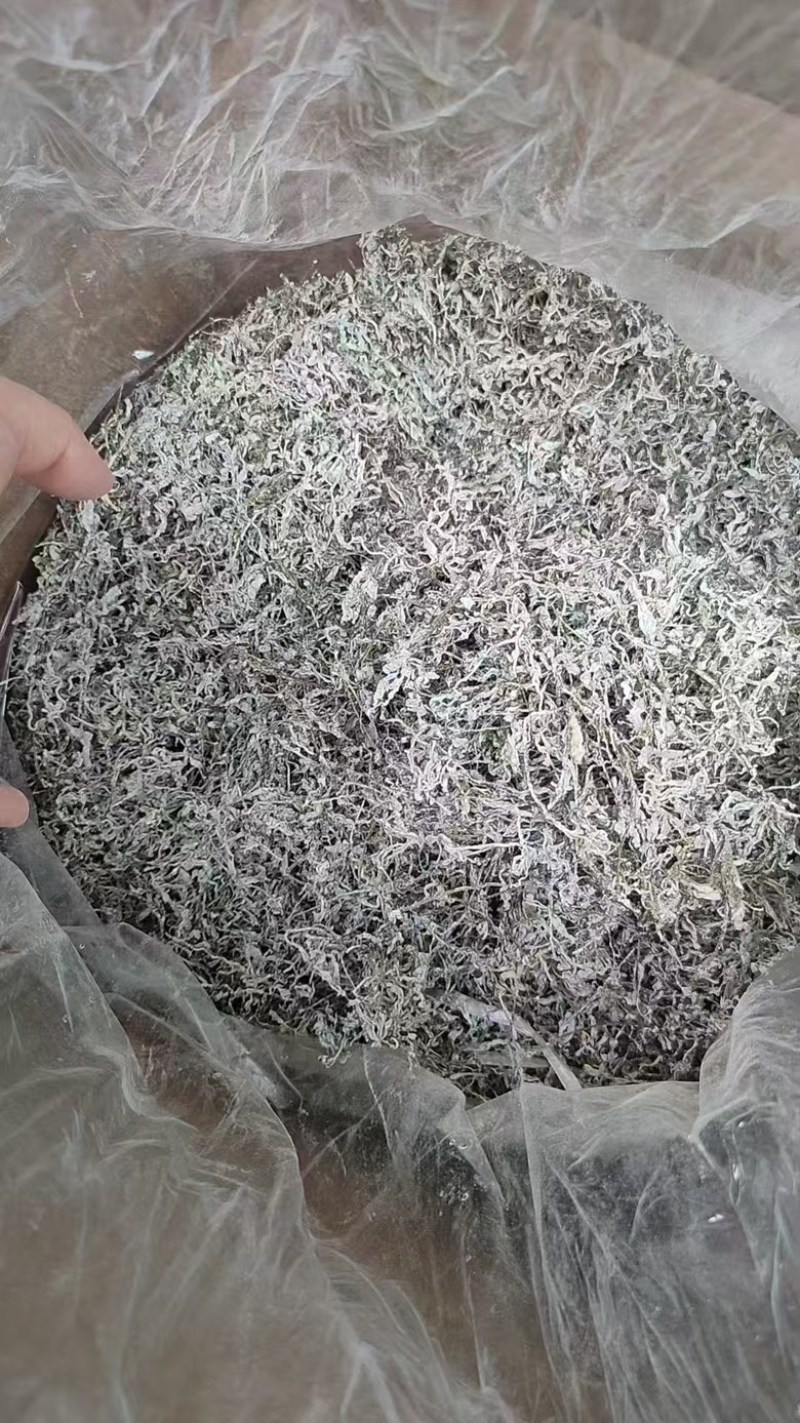湘西永顺一手莓茶