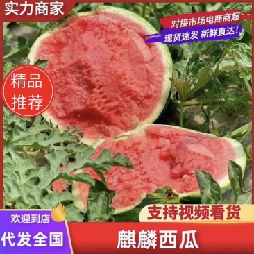 天津麒麟西瓜大量上市自家种植欢迎全国客商来电咨询