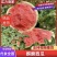 天津麒麟西瓜大量上市自家种植欢迎全国客商来电咨询
